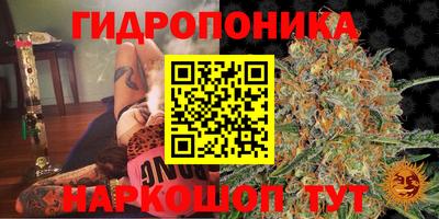 гашик Татарск